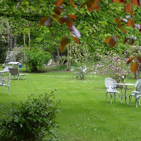 Hotel Villa Konigin Luise บัดเพอร์ทอนท์ ภายนอก รูปภาพ
